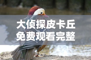 大侦探皮卡丘免费观看完整版中文版  第1张