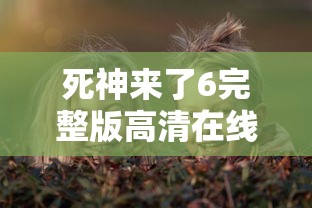 死神来了6完整版高清在线观看电影  第1张