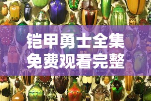 铠甲勇士全集免费观看完整版  第1张