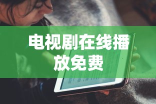 电视剧在线播放免费  第1张