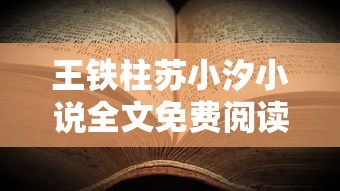 王铁柱苏小汐小说全文免费阅读最新章节壮族的风格  第1张