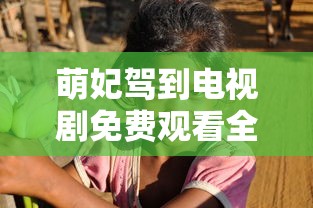 萌妃驾到电视剧免费观看全集完整版  第1张