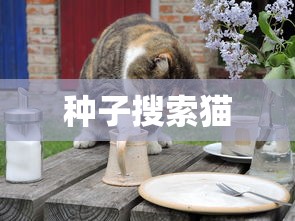 种子搜索猫  第1张