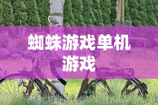 蜘蛛游戏单机游戏  第1张