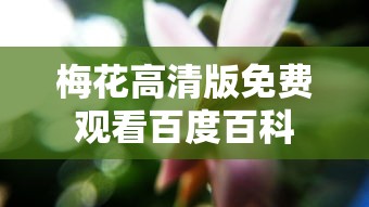 梅花高清版免费观看百度百科  第1张
