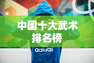 中国十大武术排名榜  第1张
