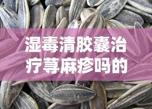 湿毒清胶囊治疗荨麻疹吗的作用与功效  第1张
