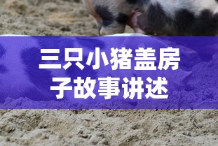 三只小猪盖房子故事讲述  第1张