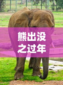 我欲封天百度百科  第1张