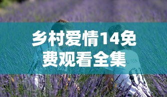 乡村爱情14免费观看全集  第1张