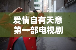 爱情自有天意第一部电视剧免费观看  第1张