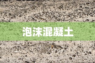 泡沫混凝土  第1张