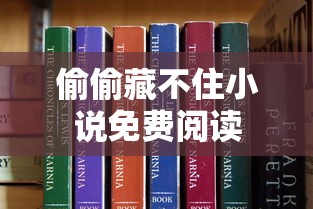 偷偷藏不住小说免费阅读  第1张
