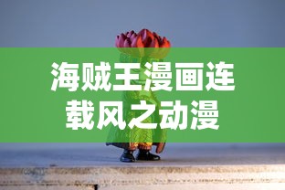 海贼王漫画连载风之动漫  第1张
