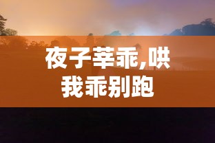 夜子莘乖,哄我乖别跑  第1张