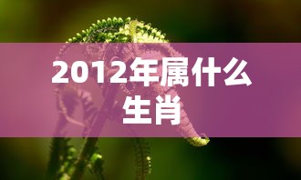 2012年属什么生肖  第1张