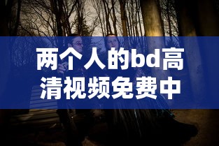 两个人的bd高清视频免费中文  第1张