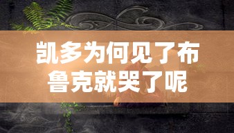 凯多为何见了布鲁克就哭了呢  第1张
