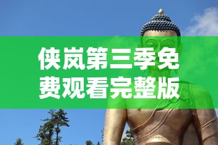 侠岚第三季免费观看完整版  第1张