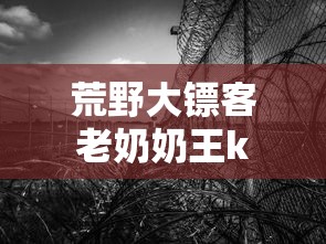 荒野大镖客老奶奶王k  第1张