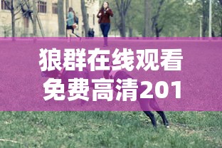 狼群在线观看免费高清2019的主演  第1张
