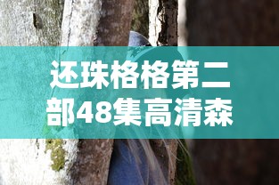 还珠格格第二部48集高清森林影视刘涛  第1张
