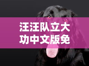 汪汪队立大功中文版免费全集威力狗  第1张