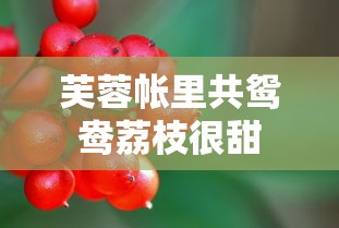 芙蓉帐里共鸳鸯荔枝很甜  第1张