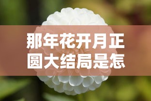 那年花开月正圆大结局是怎么样的  第1张