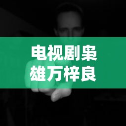 电视剧枭雄万梓良版主题曲是什么  第1张