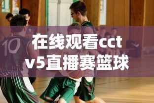 在线观看cctv5直播赛篮球比赛  第1张