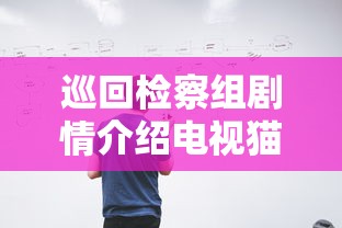 巡回检察组剧情介绍电视猫  第1张