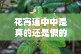 花宵道中中是真的还是假的  第1张