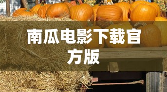 南瓜电影下载官方版  第1张