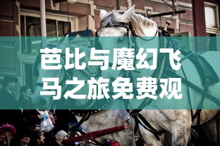 芭比与魔幻飞马之旅免费观看  第1张