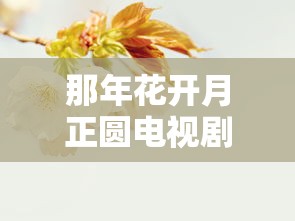 那年花开月正圆电视剧全集免费版可投屏  第1张