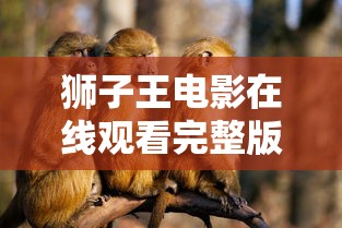 狮子王电影在线观看完整版  第1张