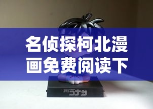 名侦探柯北漫画免费阅读下拉式  第1张