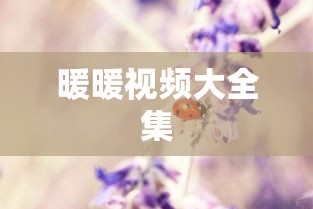 暖暖视频大全集  第1张