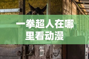 一拳超人在哪里看动漫  第1张