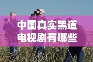 中国真实黑道电视剧有哪些  第1张