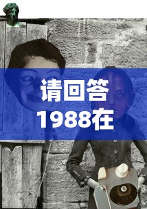 请回答1988在线观看免费观看全集  第1张