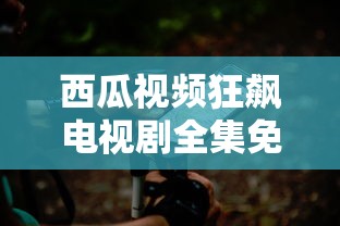 西瓜视频狂飙电视剧全集免费播放1  第1张