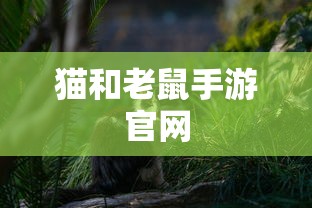 猫和老鼠手游官网  第1张