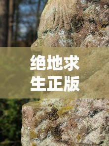 绝地求生正版下载安装  第1张