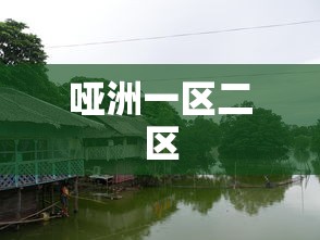 哑洲一区二区  第1张