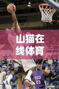 山猫在线体育直播篮球  第1张