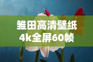 雏田高清壁纸4k全屏60帧竖屏无水印  第1张