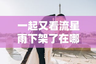 一起又看流星雨下架了在哪看小说  第1张