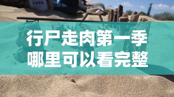 行尸走肉第一季哪里可以看完整版  第1张